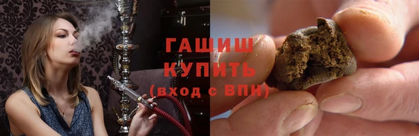 шишки Тавда