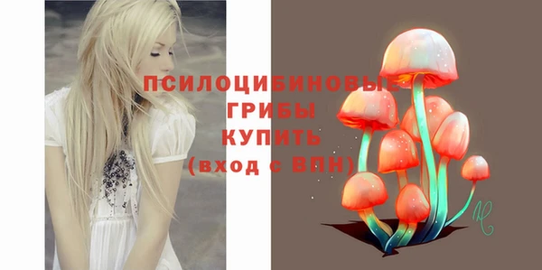 ешки Белоозёрский