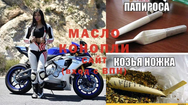 сатива Тайга