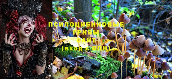 МДМА Беломорск