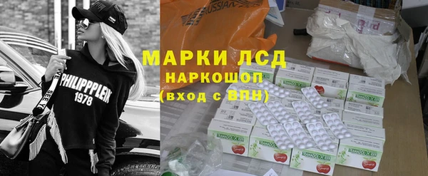 гашик Сосновка