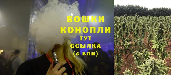 шишки Баксан